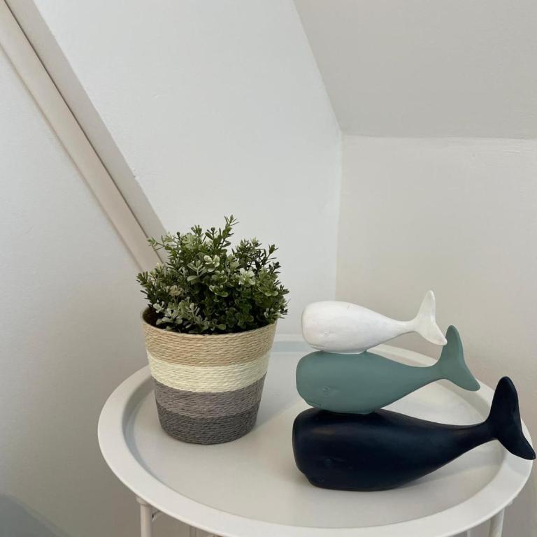 Super Deauville appartement 2 pièces cosy proche plage plein sud - Apartment mit 1 Schlafzimmer - 15