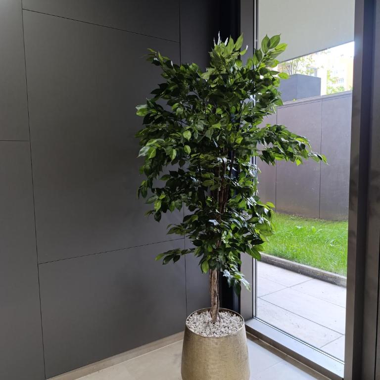Lux apartment - Apartman sa 1 Spavaćom Sobom - 22