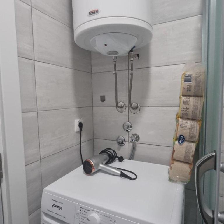Apartman Djordjevic - Apartman sa 1 Spavaćom Sobom - 5