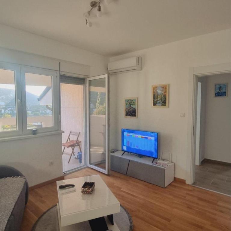 Apartman Djordjevic - Apartman sa 1 Spavaćom Sobom - 8