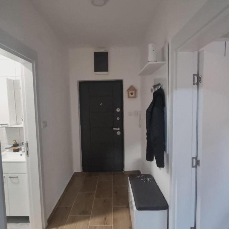 Apartman Djordjevic - Apartman sa 1 Spavaćom Sobom - 3