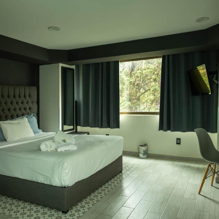 Casa Romita - Estudio con 1 cama grande - 1
