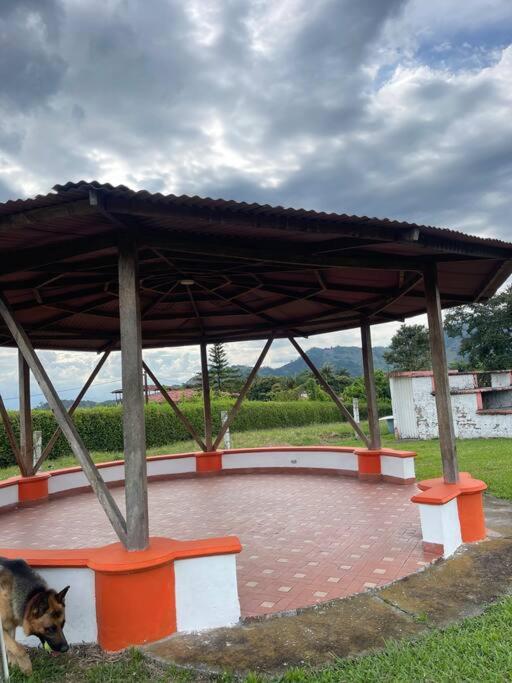 Finca San Francisco - Villa - 6