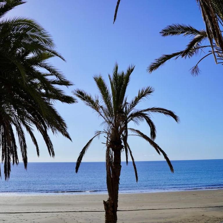 Sunshine, Pool & Beach - One-Bedroom Apartment - 39