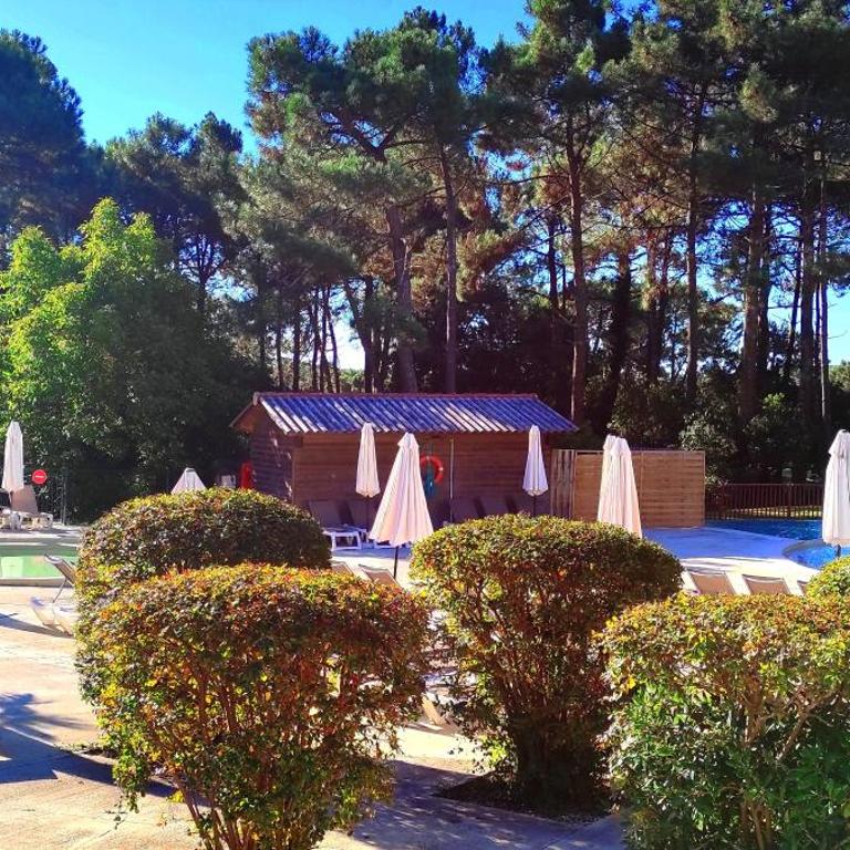 Au milieu des pins, charmant appartement de 38 m2 - 4 personnes - Domaine du Golf - Apartment with Garden View - 4