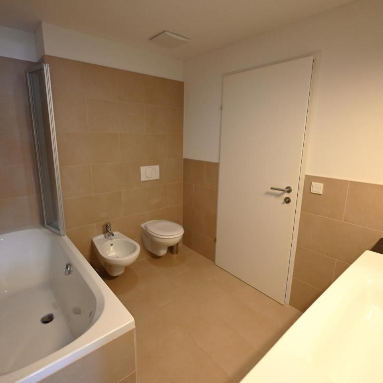 Hotel Hocheder - Apartment mit 1 Schlafzimmer, Balkon und Bergblick - 11