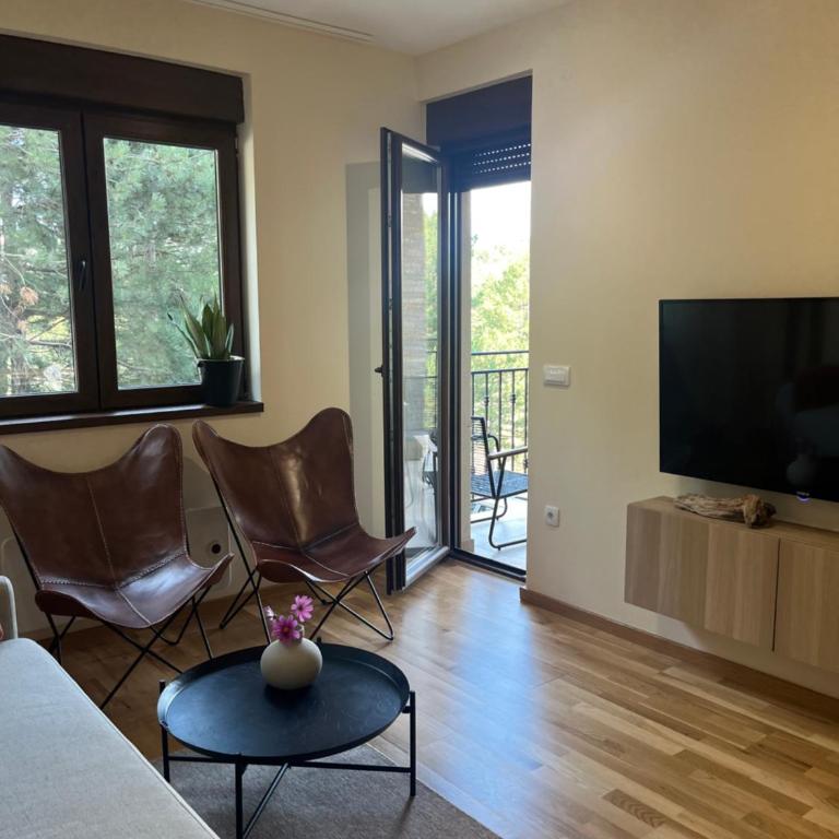 Sunny view Zlatibor - Apartman sa 1 Spavaćom Sobom - 7