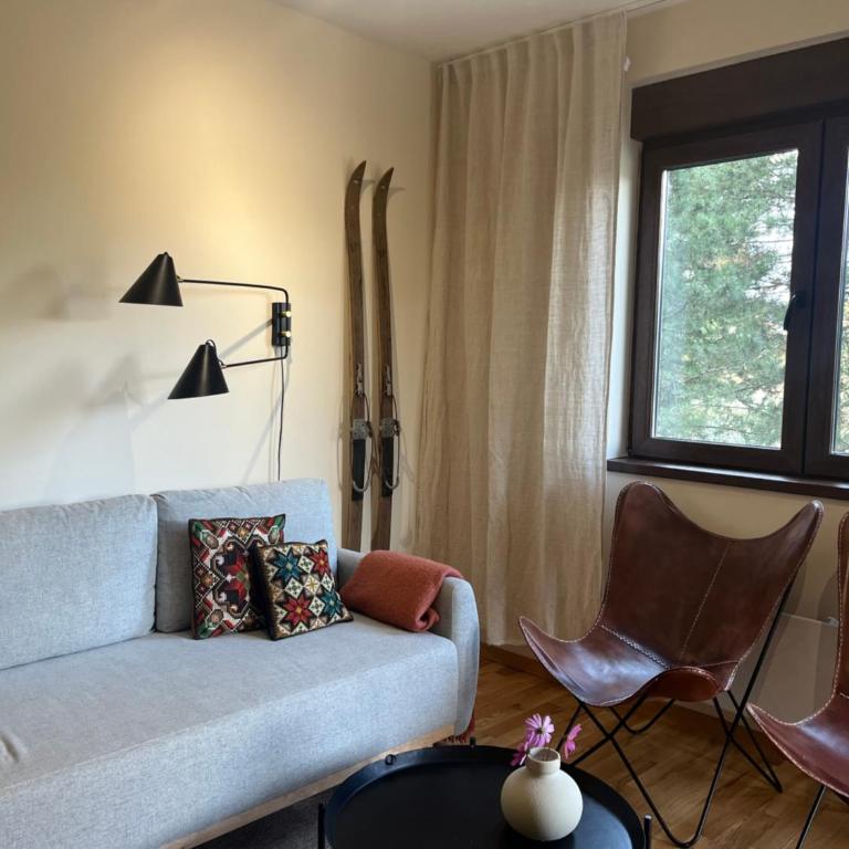 Sunny view Zlatibor - Apartman sa 1 Spavaćom Sobom - 8