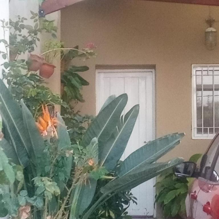 RAIZ DEL CIELO, entre 2 jardines de ensueño - Casa de 2 dormitorios - 21