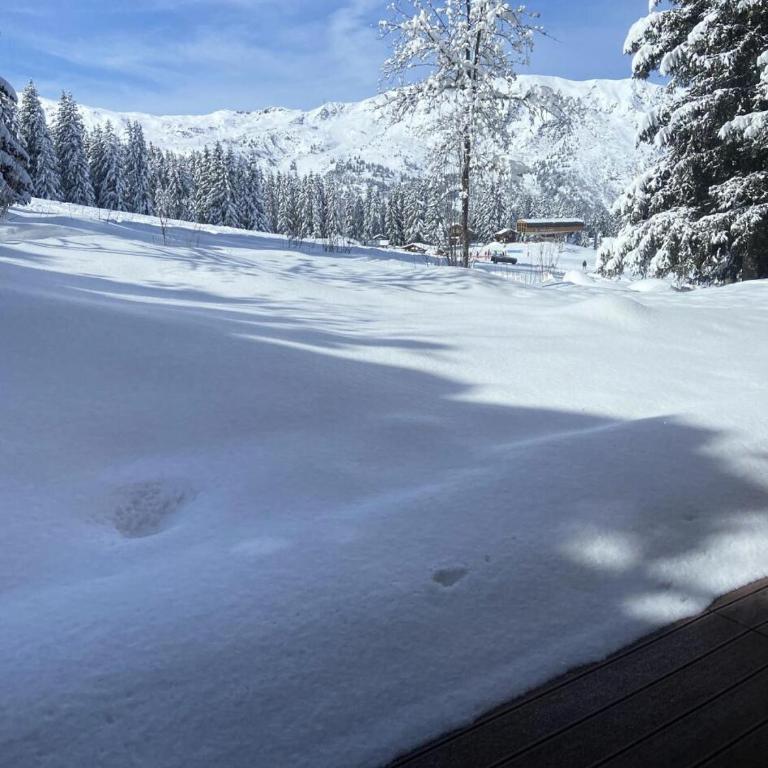 Résidence Sylvanelles - Terrasse Face aux Pistes MAE-4914 - Appartement - 5