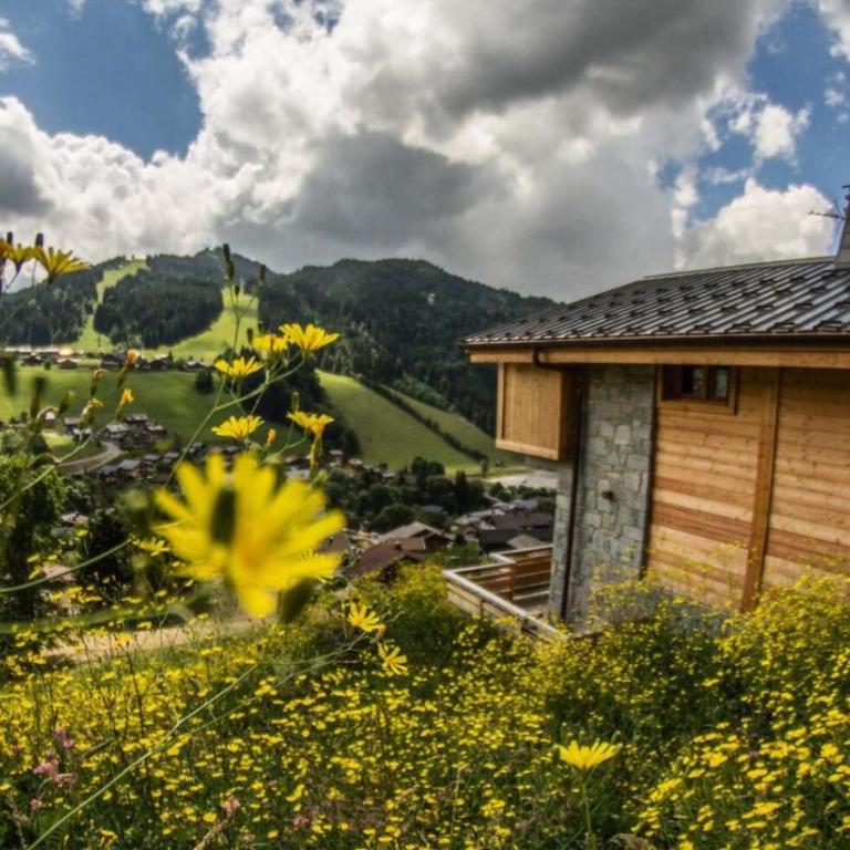 Chalets Chantemerle - Chalet avec vue panoramique 6 pers MAE-2541 - Chalet - 13