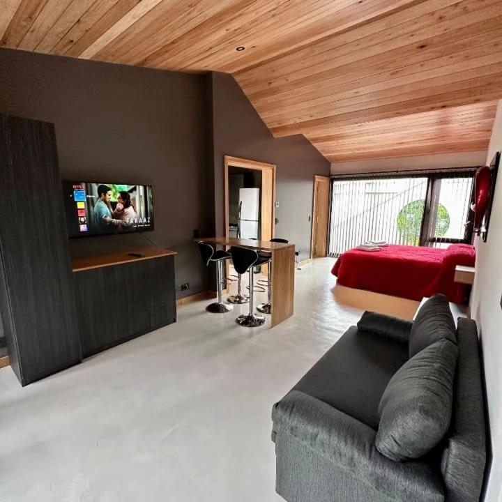 Amplio Monoambiente, cálido y moderno zona centro - Apartamento de 1 dormitorio - 1