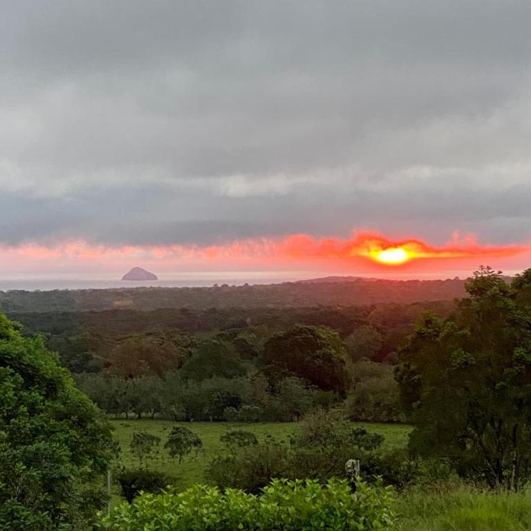 Cabaña de la Tortuga Gigante - One-Bedroom Chalet - 4