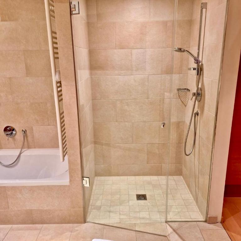 WHIRLPOOL-SUITE AMADEUS - Weitblick - Golf & Wellness - direkter Bademantelgang - ADULTS ONLY - Apartamento de 1 dormitorio - 30