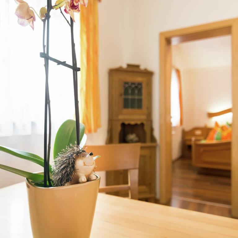 Apartment Maiskogel - directly on the ski slope - Ferienhaus mit 1 Schlafzimmer - 23