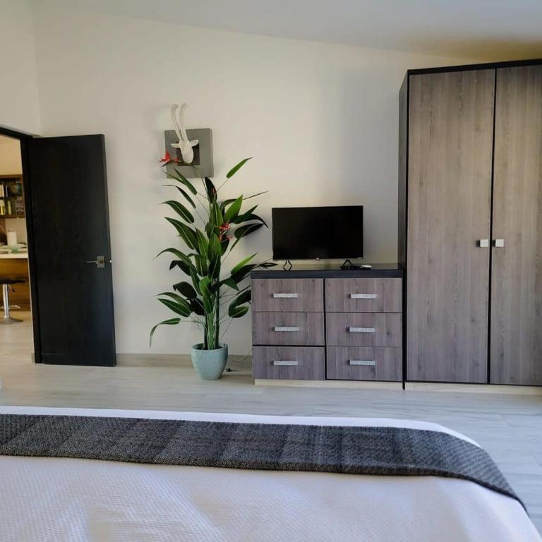 Unit 216-Casa Ricardo-Ocean View RENOVATED - Apartamento - 7