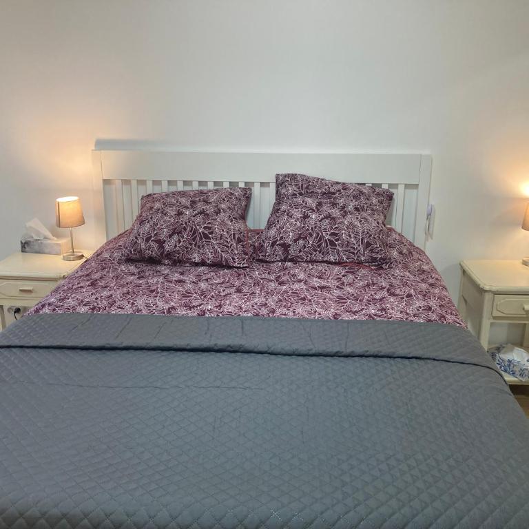 Cannes Beach Access, Private Room in Shared 3-Bedroom Apartment, Private Bathroom, Living Room with Sea View Suite Parentale salle de bain privée accès plages & vue mer du salon dans appartement partagé chez l'habitant - Chambre Double avec Salle de Bains Privative - 6