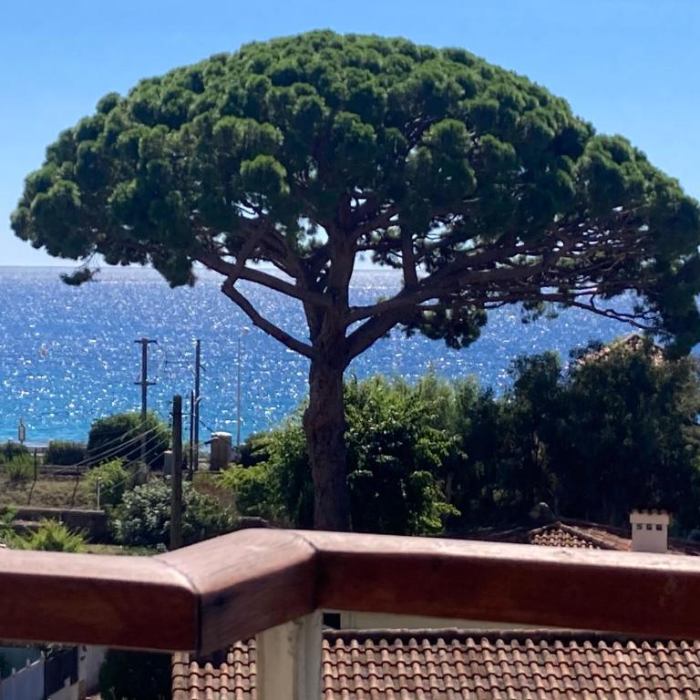 Cannes Beach Access, Private Room in Shared 3-Bedroom Apartment, Private Bathroom, Living Room with Sea View Suite Parentale salle de bain privée accès plages & vue mer du salon dans appartement partagé chez l'habitant - Chambre Double avec Salle de Bains Privative - 1