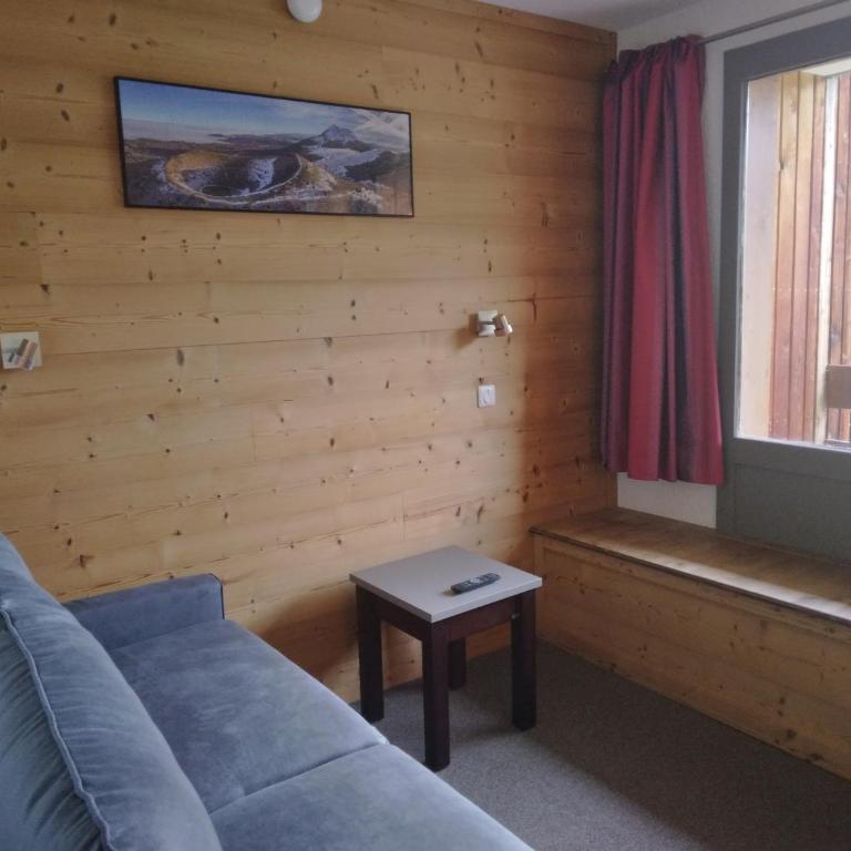 Studio divisible lumineux, proche pistes, balcon, animaux admis - Studio - 10