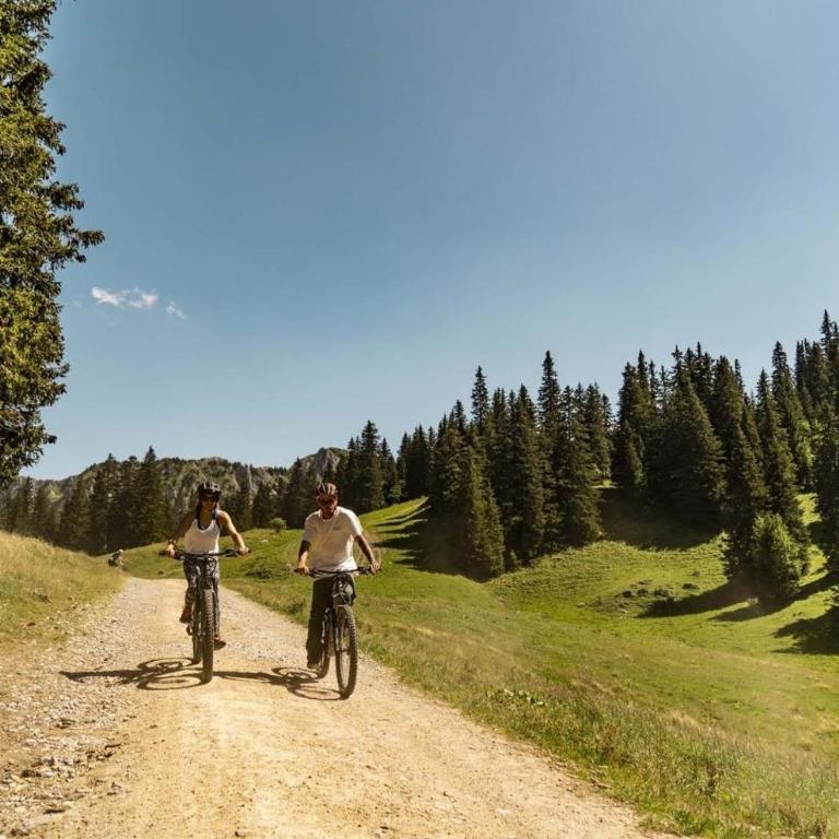 Chalet Jet d'Eau JD20 NATURE & MOUNTAIN 8 Pers - Chalet - 24