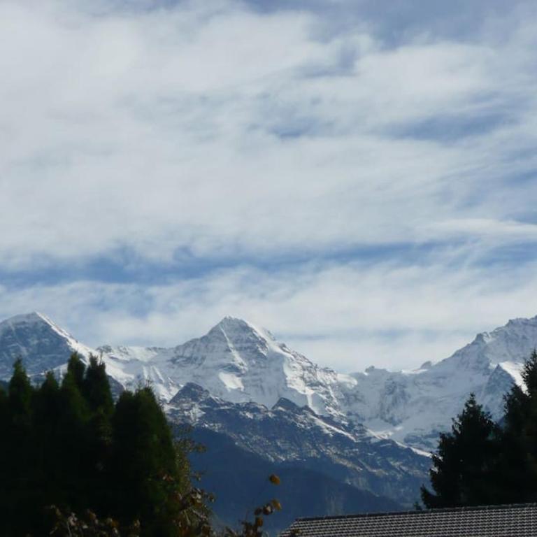 Swiss Traditional Chalet with Alpine Mtn View - Chalet - 6