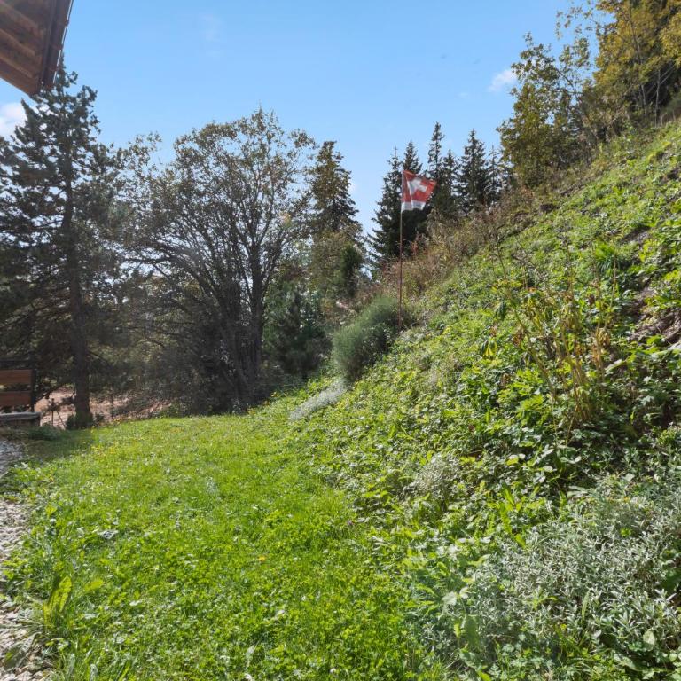 Appartement paisible au pied des pistes de ski - Appartamento con 1 Camera da Letto - 30