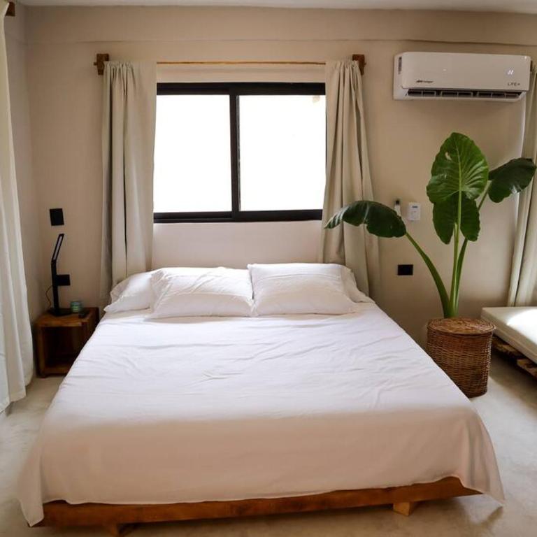 Cozy Tropical Suite for 1-4 Pp in Isla Mujeres - One-Bedroom Apartment - 2