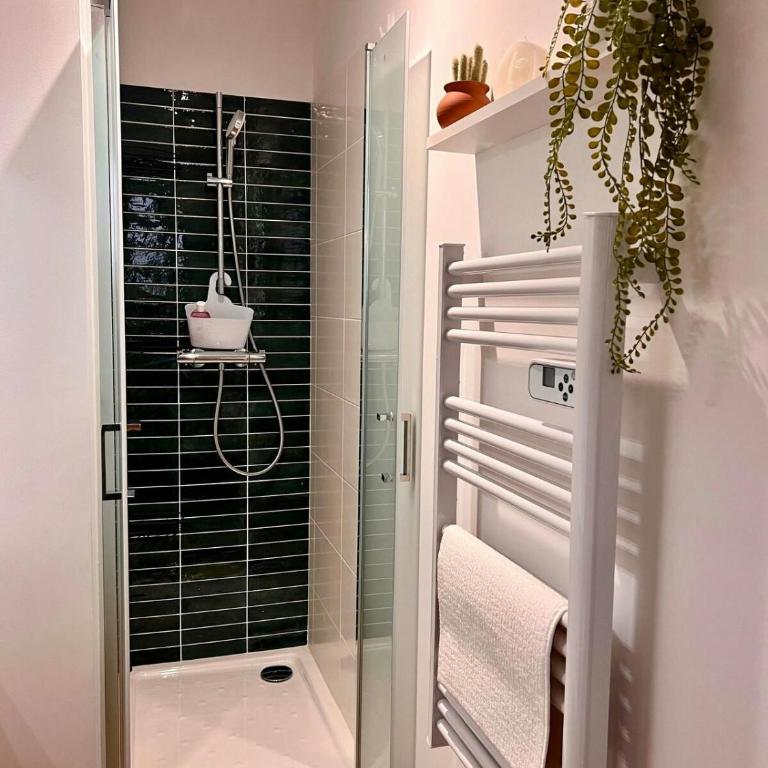 Casa Nostra - T1 - Terrasse privative - Appartement 1 Chambre - 21