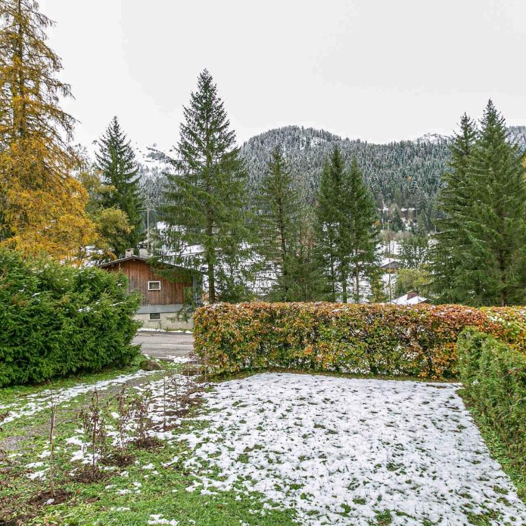 Appartement 3 chambres avec cheminée, terrasse et parking à La Clusaz - FR-1-437-97 - Apartamento - 12