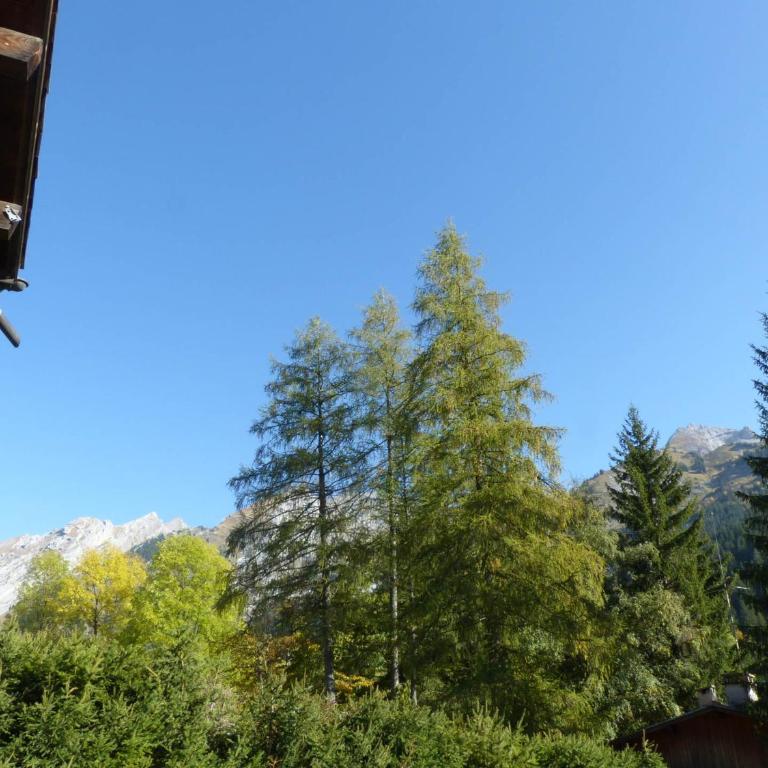 Appartement 3 chambres avec cheminée, terrasse et parking à La Clusaz - FR-1-437-97 - Apartamento - 16