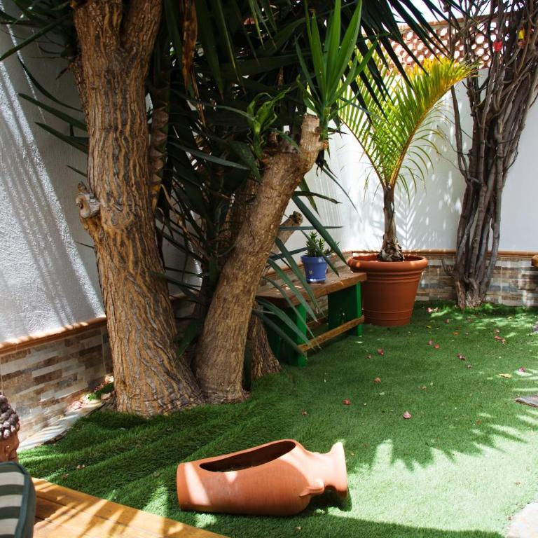 El Cardon cerca la playa Las Vistas - Apartamento de 1 dormitorio con terraza - 19