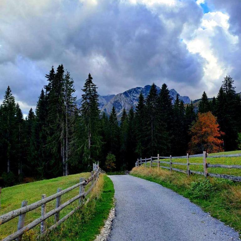 Hill House Žabljak - Two-Bedroom House - 35