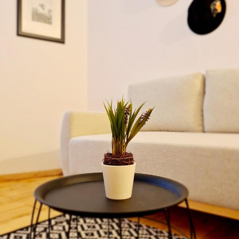 Casa Bella Locarno - Appartamento Superior con 3 Camere da Letto - 15