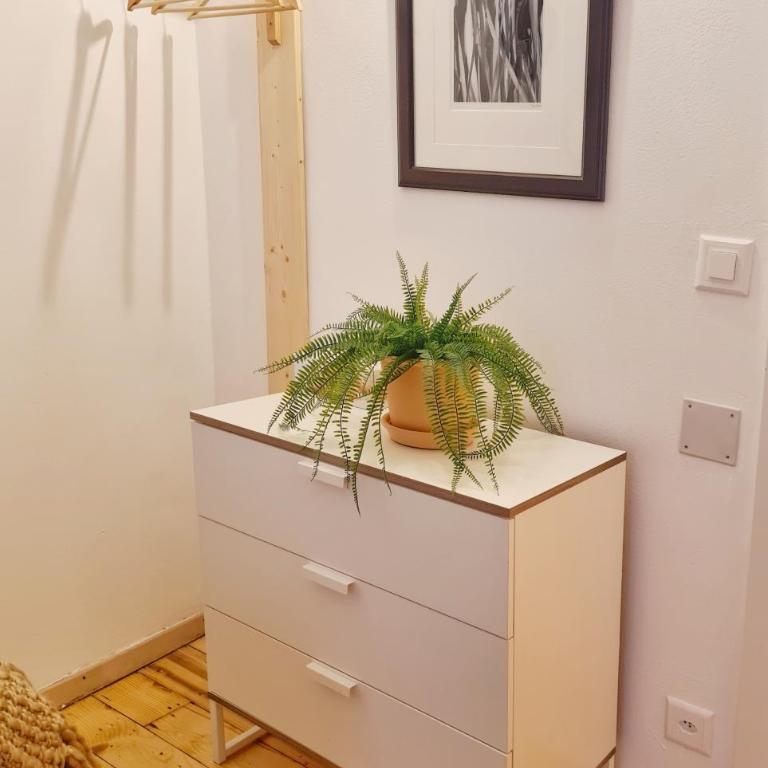 Casa Bella Locarno - Appartamento Superior con 3 Camere da Letto - 16