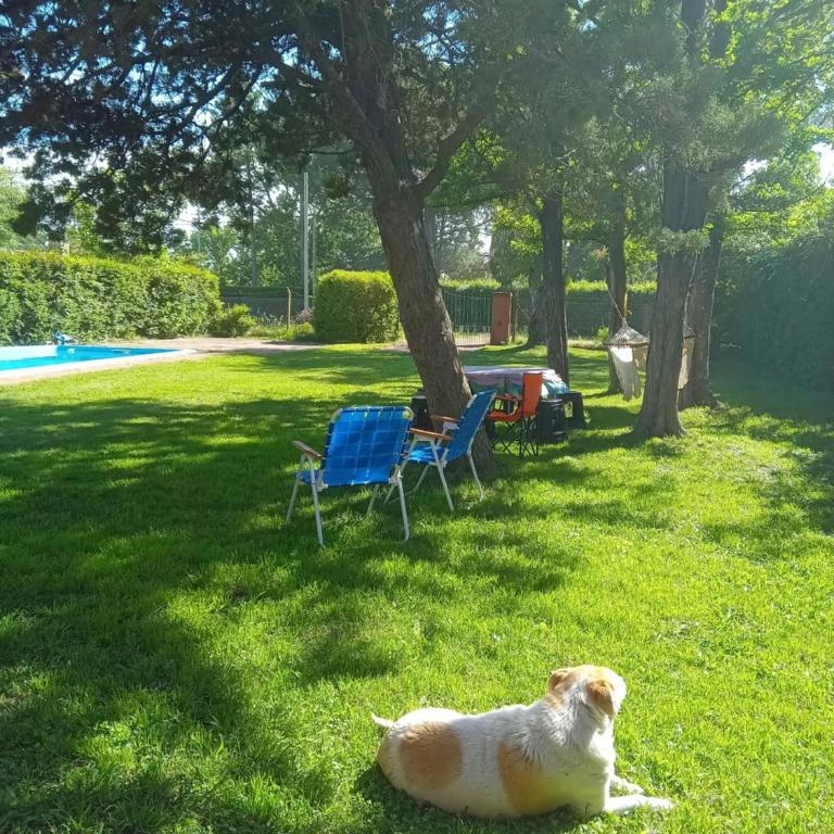 Quinta Familiar en Lujan - Casa con 1 dormitorio - 15