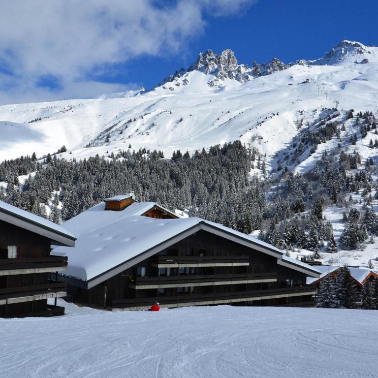 Studio 1* Méribel Skis aux Pieds - WiFi - FR-1-182-42 - Estudio - 11
