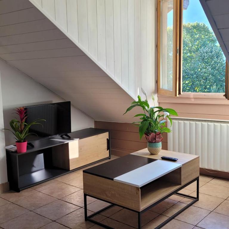 Maison de biscuit - Appartement 1 Chambre - 7