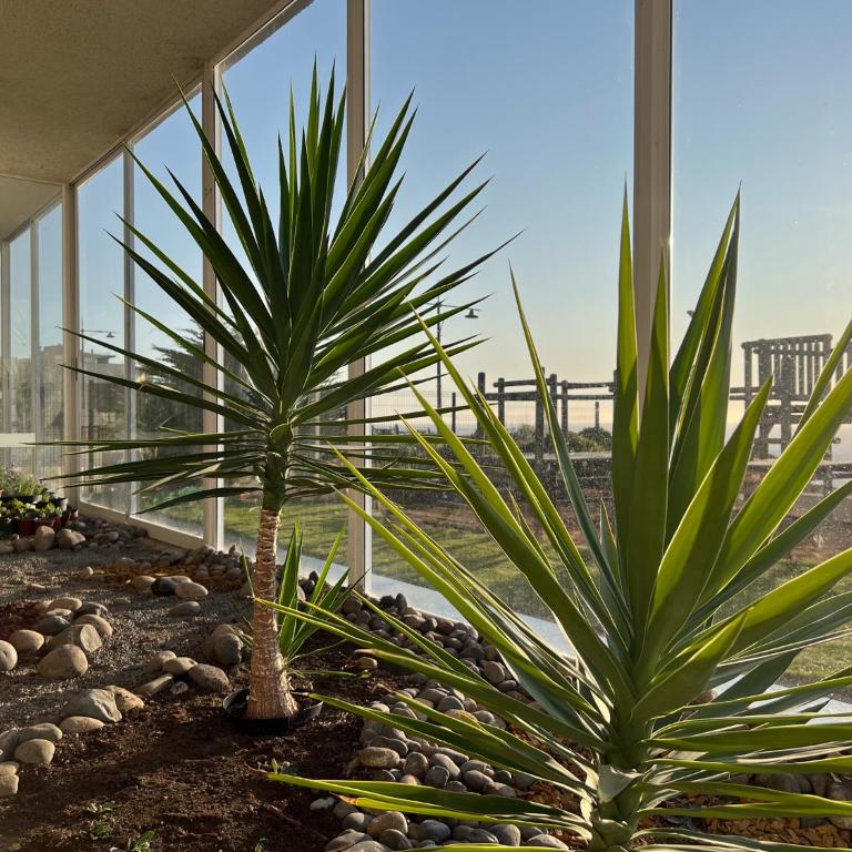 Oceana Suites Costa Montemar - One-Bedroom Apartment with Sea View - 34
