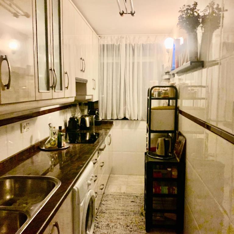 Exclusivo Atico con terraza - Apartment mit 1 Schlafzimmer - 43