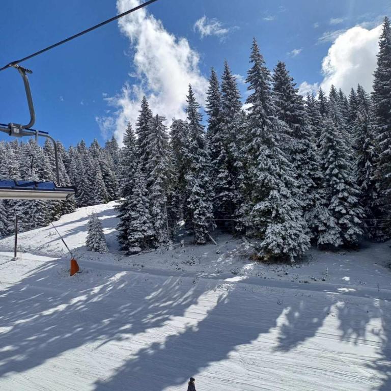 Apt in the Sky - Kopaonik Kraljevi Čardaci - One-Bedroom Apartment - 12