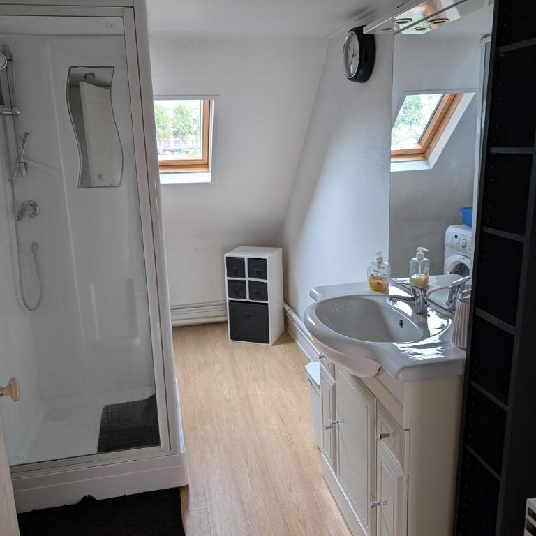 Seine-Front Apt in Stone House with parking and garden, Lacroix Island - Appartamento con 1 Camera da Letto - 4