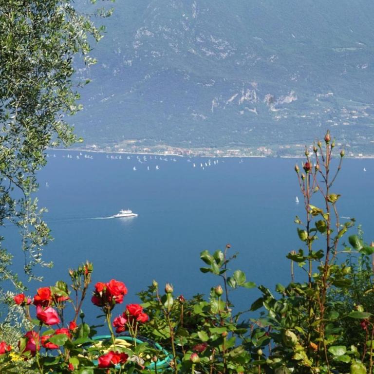 Apartments Casa Tamas, Limone - Appartamento con 1 Camera da Letto - 5