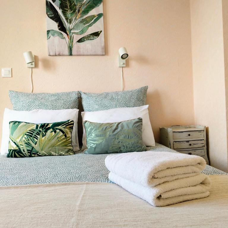 Bel appartement refait à neuf, calme et ensoleillé - Apartamento de 1 dormitorio - 1