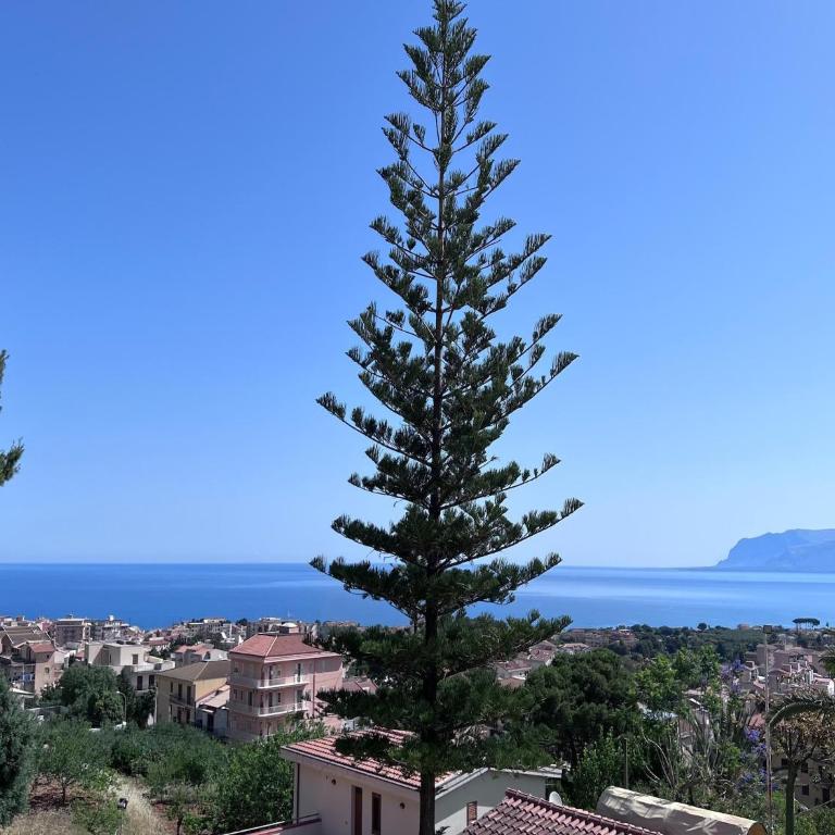 Villa in Castellammare near Guidaloca Bay - Villa con 3 Camere da Letto - 37