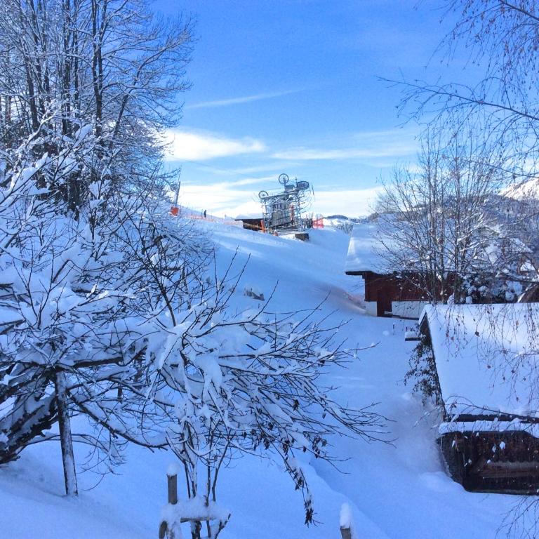 Les flocons - Chalet - 20