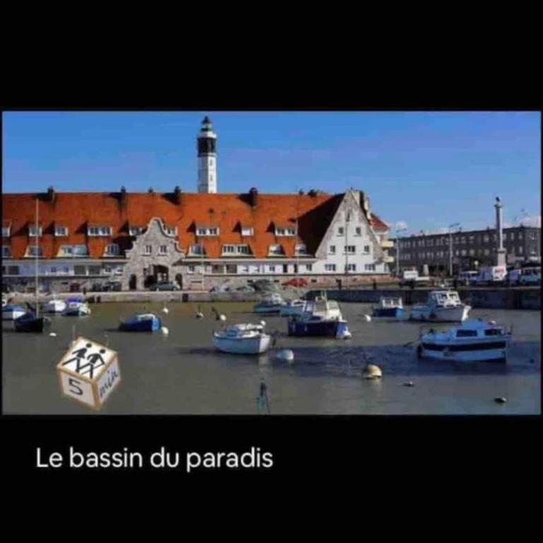 Le port de calais - Appartement 1 Chambre - 2