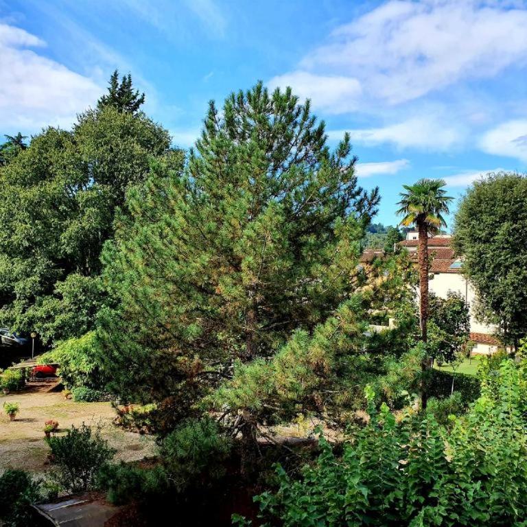 Hotel Annalena - Double Room with Garden View - 4