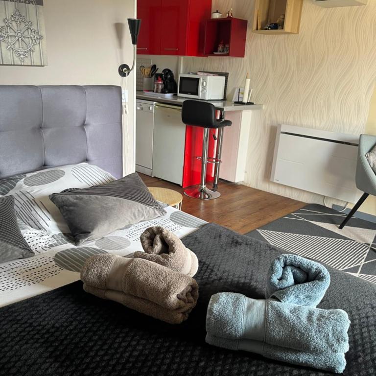 Studio aux pieds des montagnes - Appartamento con 1 Camera da Letto - 11