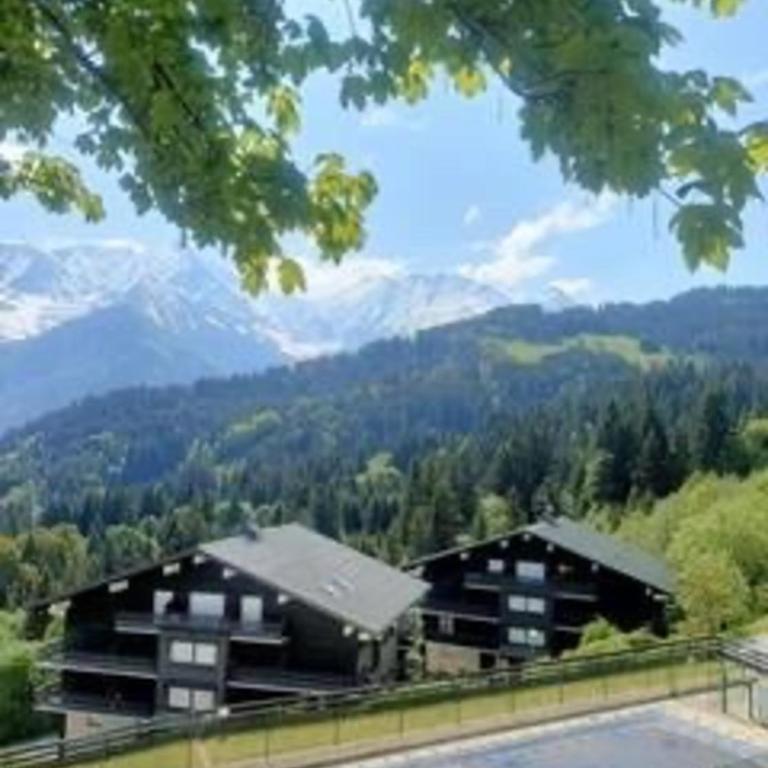 Emeraude, petit cocon proche des pistes - Studio mit Bergblick - 2