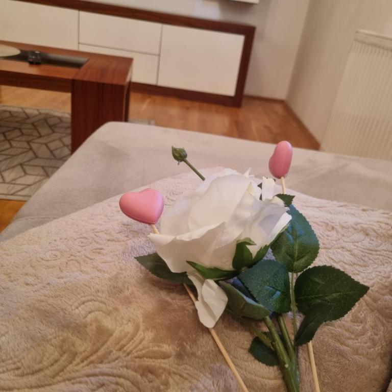 Sarajevo Apartman Čikma - Standardni Studio - 1